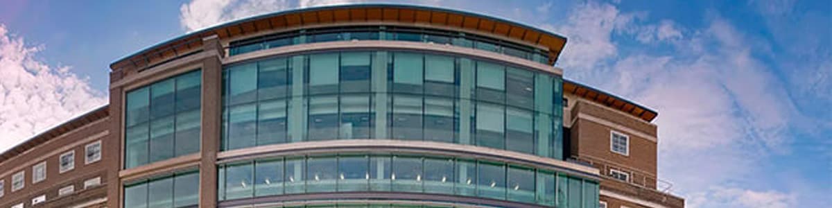 Cover photo of Birkbeck, University of London